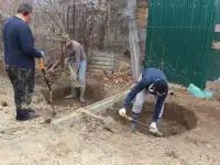 Земельные работы; Благоустройство; Расчистка: Недорого! Воронеж, фотография 2
