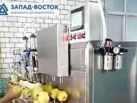 Машина для яблоко чистки и удаления сердцевины 400 кг/час
