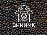Семена ярового рапса ВНИИМК сорт Галант