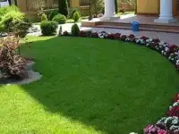 Рулонный газон, продажа и укладка