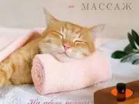 Массаж,телесноориентированная терапия