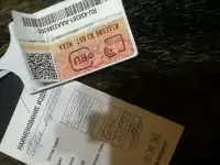 Мужская дубленка