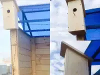 Скворечник