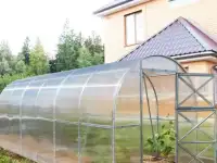 Теплица
