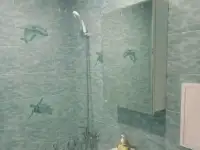 Отделка ванной и туалета