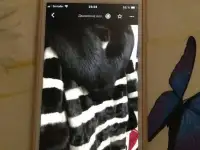 Шуба