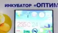 Инкубатор на 3000 куриных яиц Оптима, фотография 2