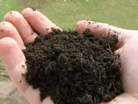 ОПГС ПГС, Песок карьерный, речной, обогащенный, Щебень, Керамзит, Чернозем, Грунт., фотография 2