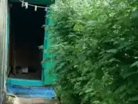 Продам дачу 40км от Екатеринбурга, фотография 4