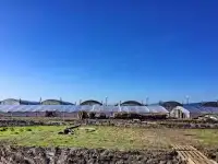 Земельный участок, фотография 12