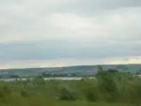 Отдам заросшую дачу даром