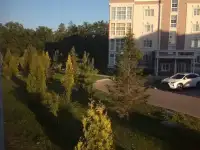 Сдам на длительный срок 1-к. квартиру, 45 м², 1/4 эт., фотография 9