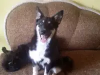Симона хочет домой