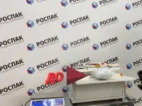 Вакуумный упаковщик RVM E500 ROSPAK бескамерный, фотография 9