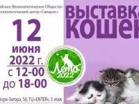 Международная выставка кошек 12 июня