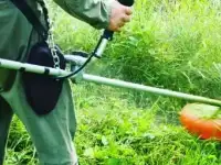 Предлагаю вам сделать ваш участок! Участком вашей мечты!