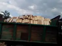 Продам дрова колотые береза