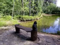 Помощник по хозяйству, фотография 3