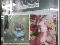 Зоотовары Pet Stor.
