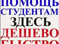 Все виды помощи студентам, все предметы