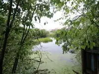 Продам земельный земельный участок, Декабристов ул, фотография 4