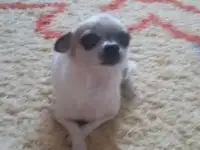мини детка
