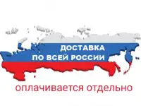Медведь стиль цветной принт 66 размера, фотография 7