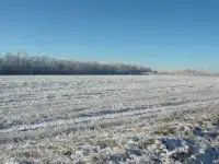Участок для ижс срочно продам!