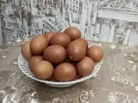 Продам яйцо куриное, яйцо домашнее, яйцо пищевое