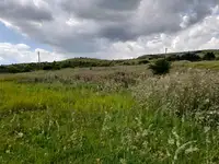 Продам земельный земельный участок, Московский пер, 12, фотография 6
