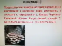 Вы покупайте мы продаем