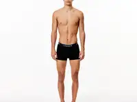 Мужское хлопковое нижнее бельё lacoste (3 ед.), фотография 4