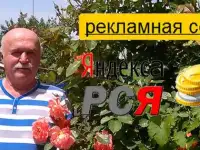 Настройка рекламой кампании вашего продукта на РСЯ Яндекс Директ.