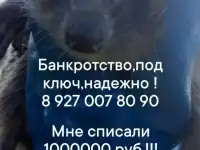 Банкротство