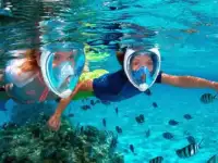 Купите уникальную маску Easybreath, фотография 9