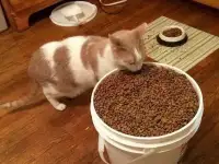 Корм  Про План  для кошек, фотография 4
