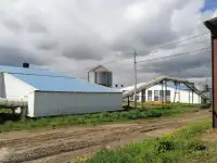 Птицефабрику, действующею полный цикл продаю