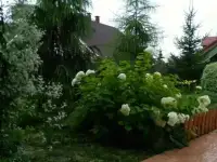экодом, село Жигули ул.Пролетарская 79 180,00 м2, фотография 7
