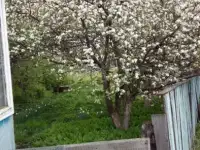 Продается дом с земельным участком, С. Кашкарово Чекмагушевского района 45,00 м2, фотография 4