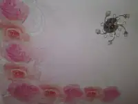 Натяжные потолки , фотография 8