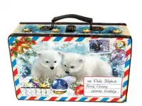 новогодняя упаковка, костюмы, подарки, фотография 8