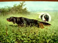 Охота. А. Мако «По фазанам».1915 год