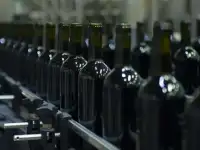 Продам действующий винзавод в Крыму