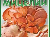 Мицелий Вешенки, Опёнка, Рейши, Шиитаке, фотография 7