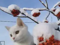 Желаете жить комфортно и долго -- пожалуйста!