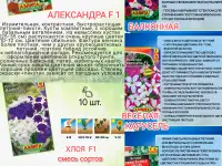 Петуния, фотография 4