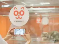 Открой гостиницу для животных  вместе с BookingCat, фотография 7