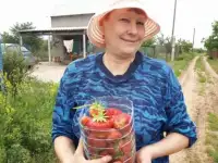 Продаю саженцы клубники, малины, ежевики, смородины, барбариса, Цветы