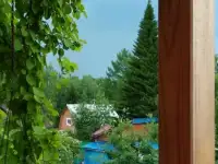 Требуется силелка