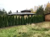 Уход за садом, благоустройство, фотография 11